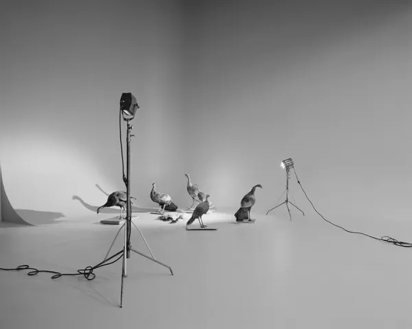 Lily Dabe Photography MFA '27