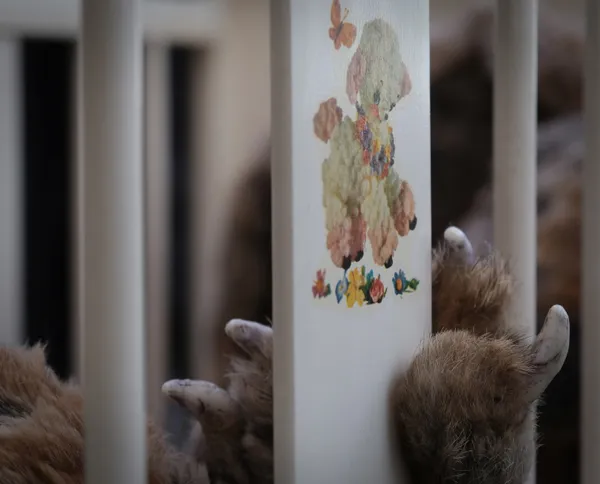 Abigail Norris Nursery Detail 2 1