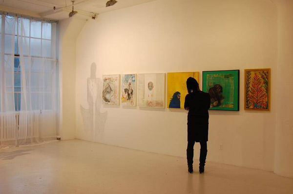 936114 249559898519340 489288088 N