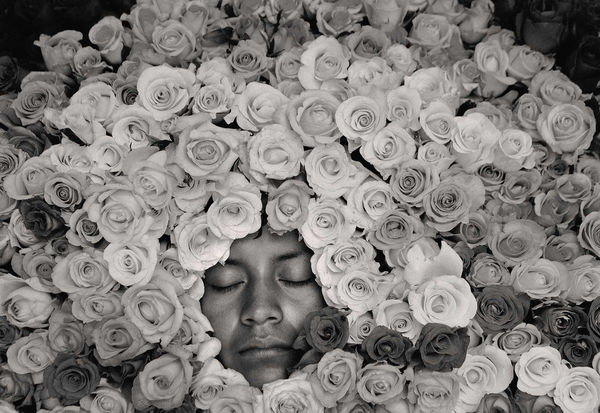 IMPÁVIDO Russell Monk