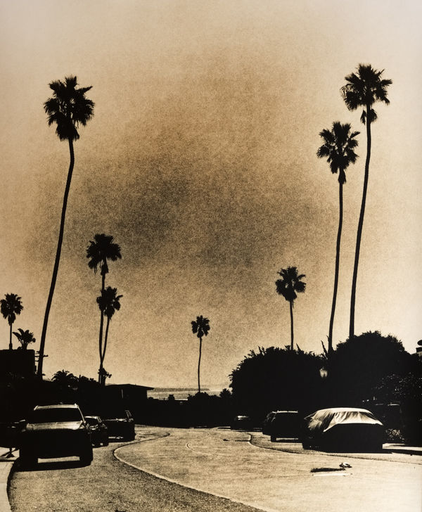 EYES ON LA Guillaume Zuili