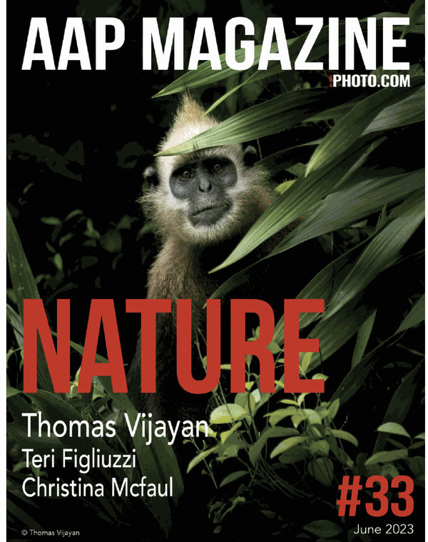 AAP MAGAZINE PHOTO.COM, Diana Bloomfield