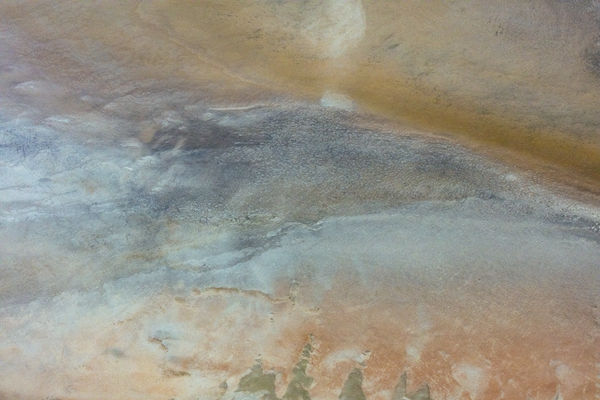 Kate Lloyd, Salieri 2, 2022