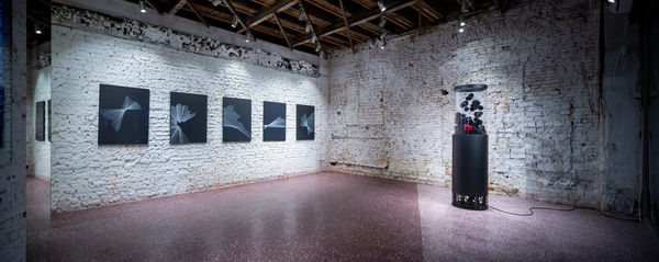 Out of the Black. Experiment X solo exhibition by Alina Aldea at Kube Musette Bucharest installation view 2019