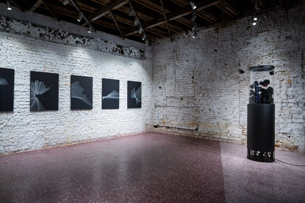 Out of the Black. Experiment X solo exhibition by Alina Aldea at Kube Musette Bucharest installation view 2019