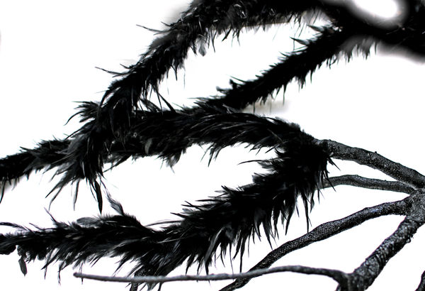 098Ee57C 277A 46A1 B320 7F46A8Ff10C0 1 201 A