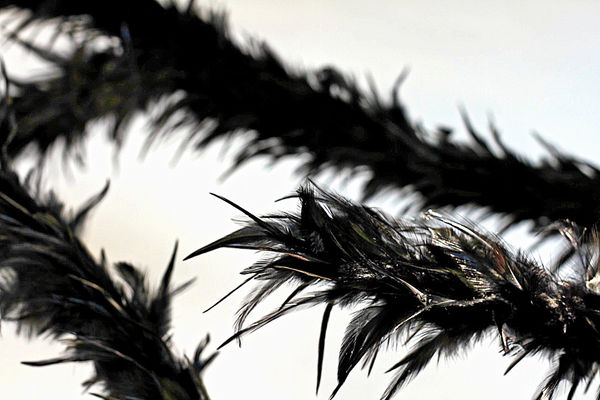 8736F776 0B4A 47Fc B7De 5B48E4850D7E 1 105 C