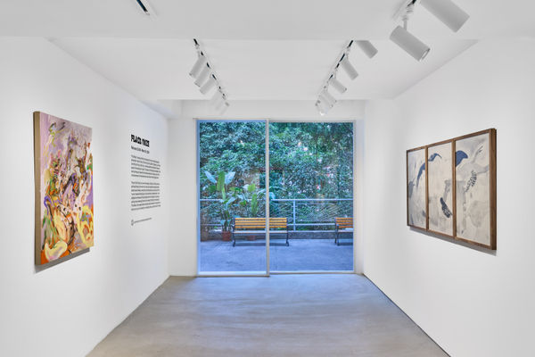 20240202Woawsun34995