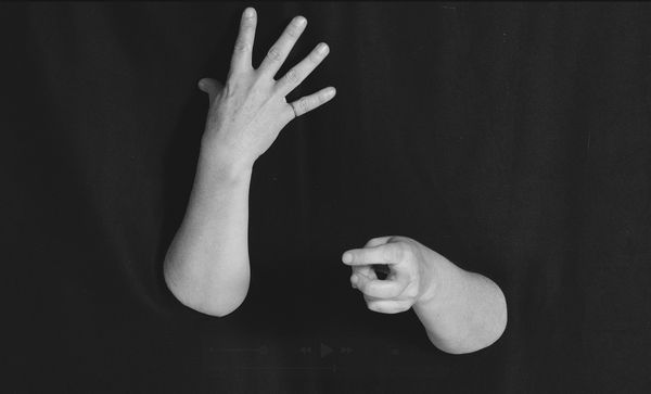 Reading the Signs: Learning from Sign Languages