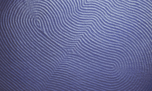 LA Weekly: When Creating Paintings, Amir Nikravan Tries to Mimic Photoshop