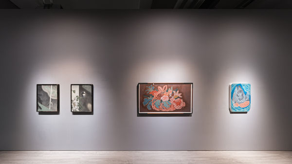 230830183721 Mini Srgb 2