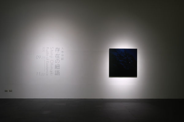 200911130303 Mini Srgb