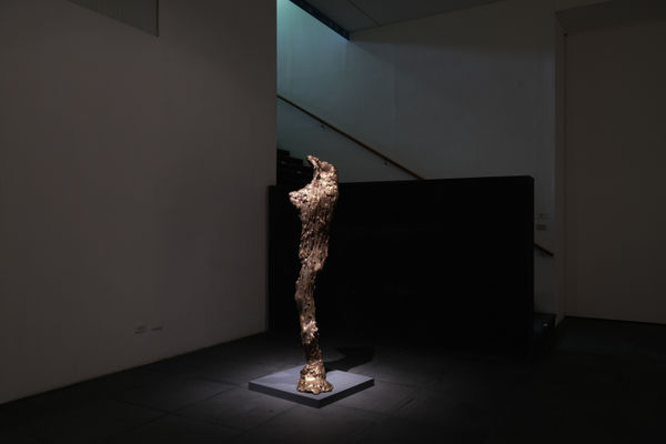 200911130334 Mini Srgb