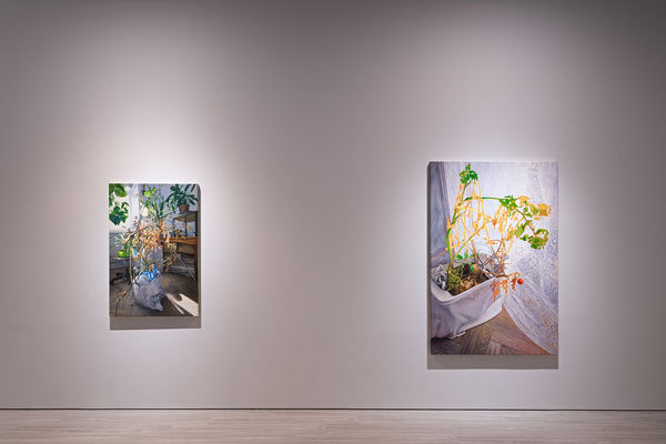 16 240314171004 Mini Srgb