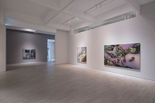 20 240314170807 Mini Srgb