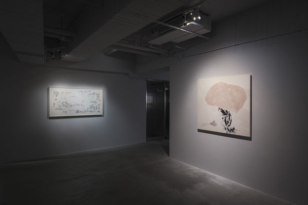 200313142046 Mini Srgb 1000Px