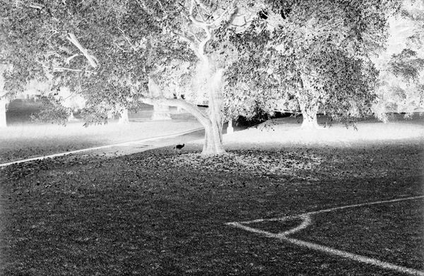 安利．沙拉,《無題》Untitled, 2007