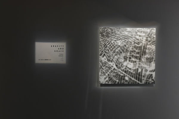 Installation View 001 1000Px