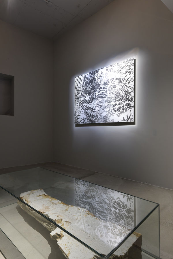 Installation View 008