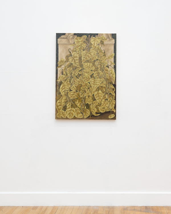 Lilyhargreaves Bjdeakin Photograpy 8293