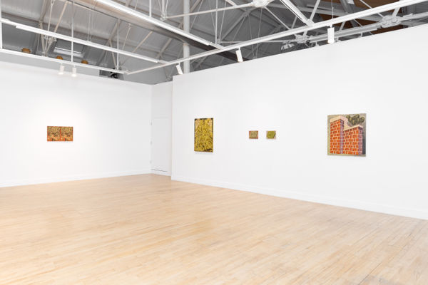 Lilyhargreaves Bjdeakin Photograpy 8333