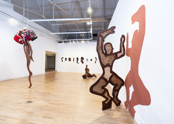 Cookelatham Anoushaanna 8352