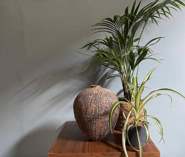 Photo 27 06 2024 12 08 26