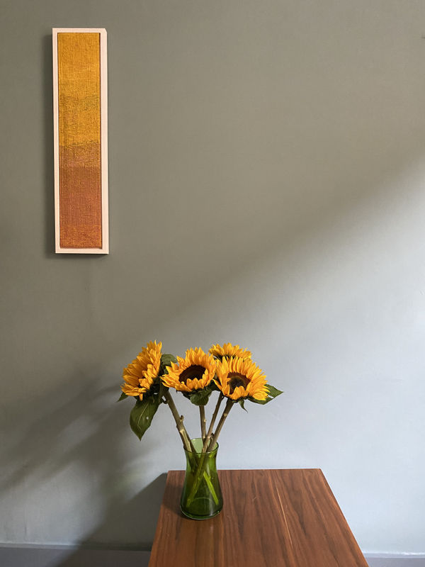 Photo 27 06 2024 12 29 49