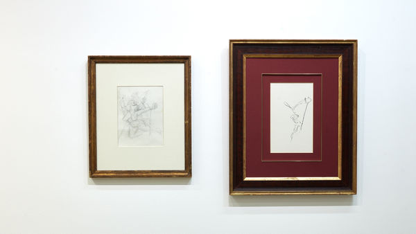 Omer Tiroche Dali Sketchbooks 011