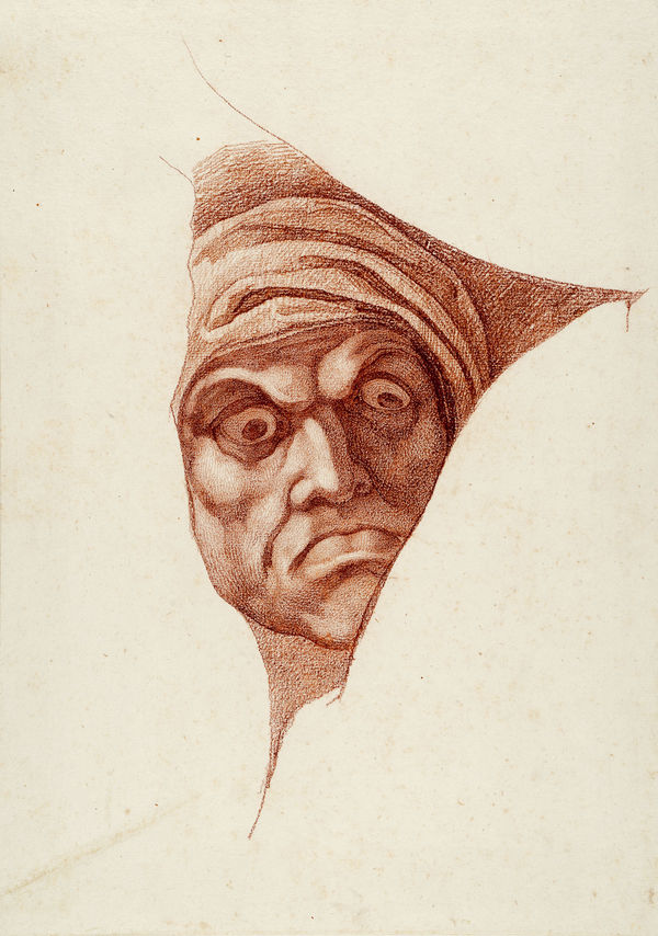 Vincenzo CAMUCCINI Head expressing terror, which causes it in its bewilderment to clench its lips and to arch its eyebrows. Ariosto