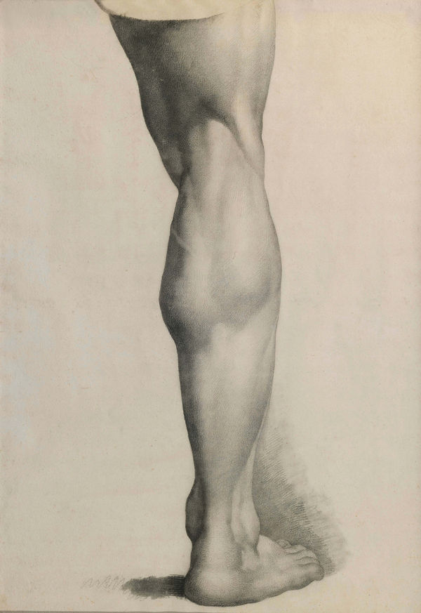 Vincenzo CAMUCCINI Study for a Leg