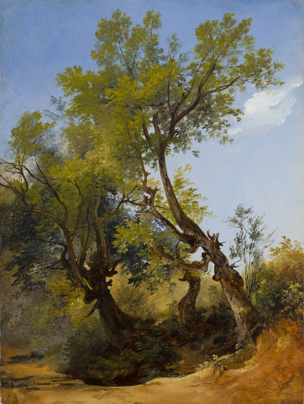 GIOVANNI BATTISTA CAMUCCINI Paesaggio con tre alberi, c. 1840