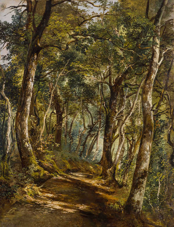 GIOVANNI BATTISTA CAMUCCINI, Sentiero nel bosco, c. 1840