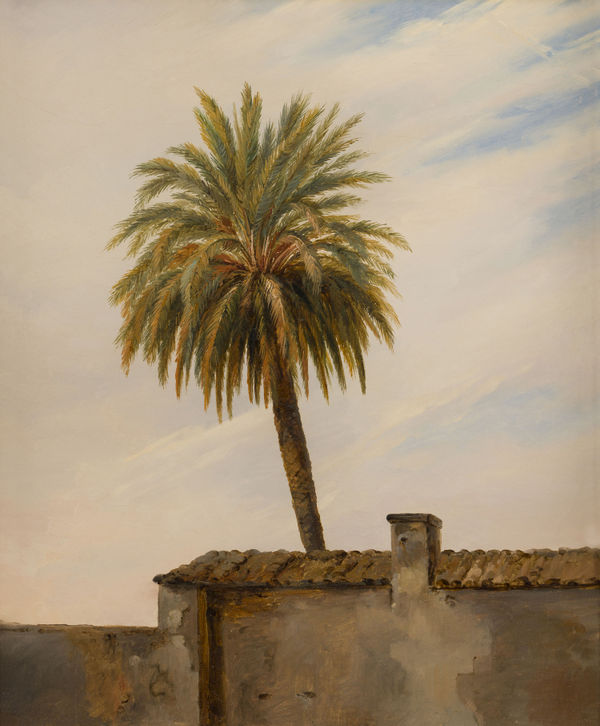 Prosper BARBOT Study of Palm tree, 1826 c.