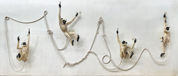 A Lick of Night in the Morning | Curated by Dipti Anand D-53 Defence Colony, New Delhi