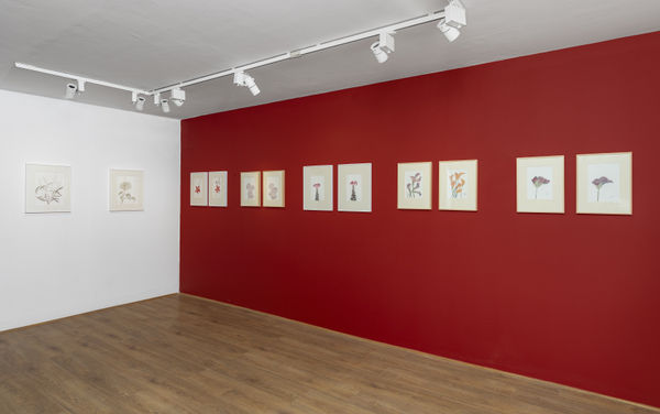 Chameli Ramachandran | Offering