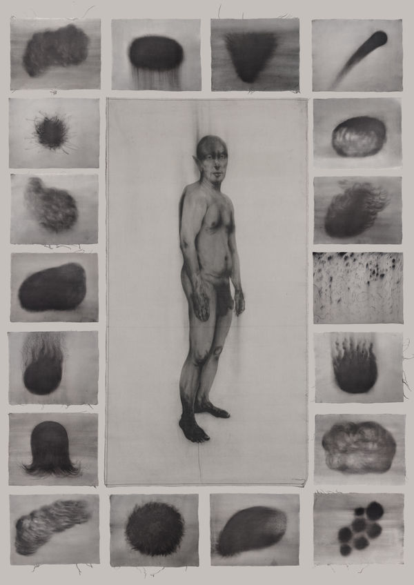 Hyle Surrounded By Morophs 19 Pieces Totally 250 X175 Cm Graphite On Cotton