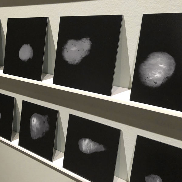 Cynthia Greig, Breath Scan Portraits, 2010-2020
