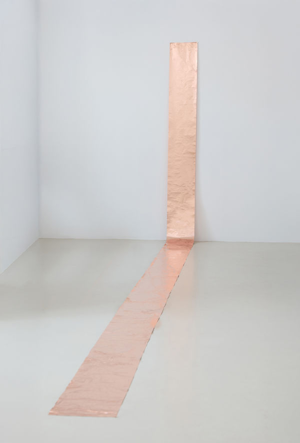 Maria Ribeiro, Linha, 2024