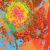 John Hoyland - Soulless Stars Cascade, 2010