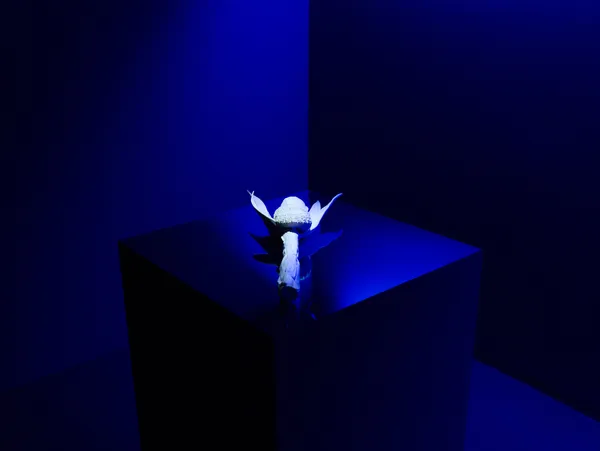 Saroot Supasuthivech - River Kwai: This Memorial Service was Held in the Memory of the Deceased , 2022