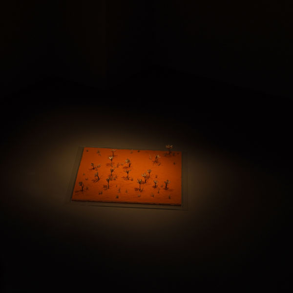 BRANDNEW 2019 ART PROJECT YANAKORN SINVATCHARAPORN