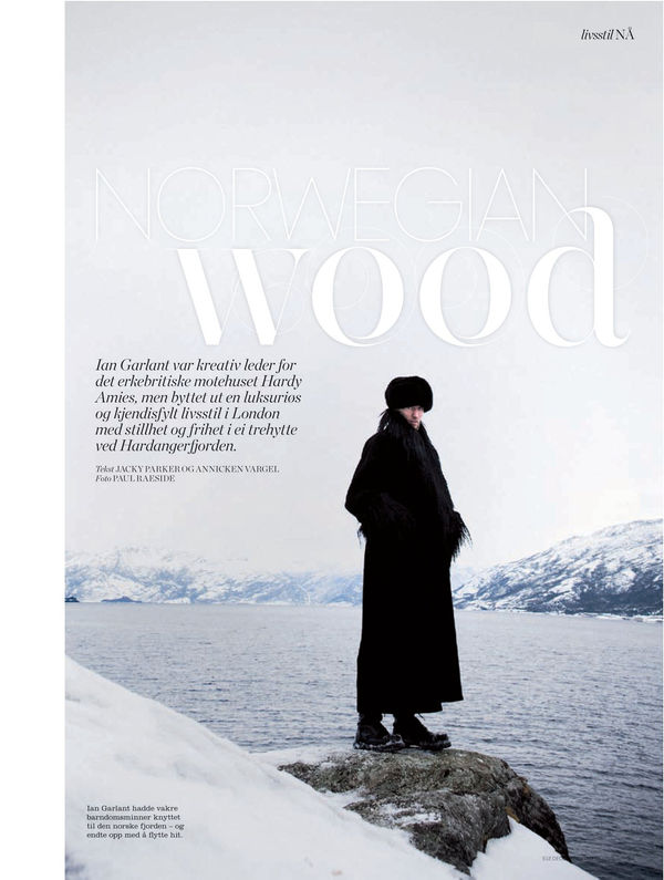 Ian Garlant Synthesis exhibition press clipping