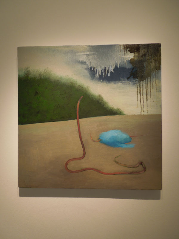 Andrew Munoz canvas hanging in gallery