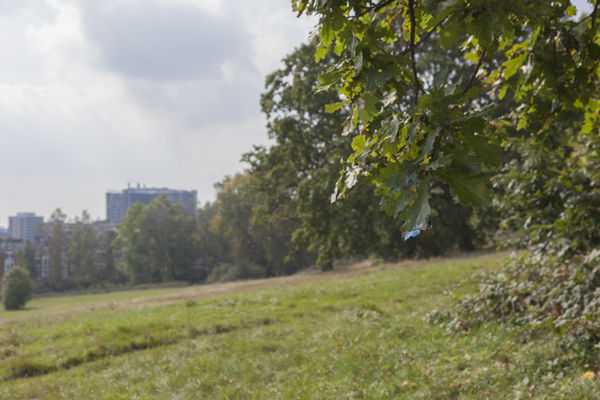 Slinkachu Landscape Painting context shot