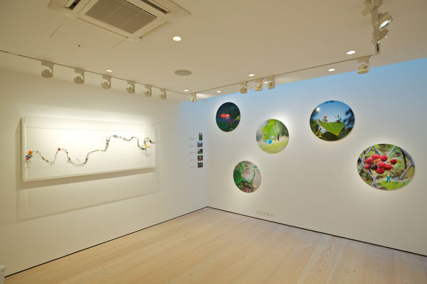 Slinkachu prints hanging in exhibition at andipa gallery.