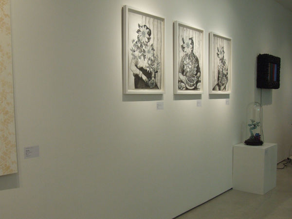 Secret Language of Flowers exhibition hanging in Andipa Gallery