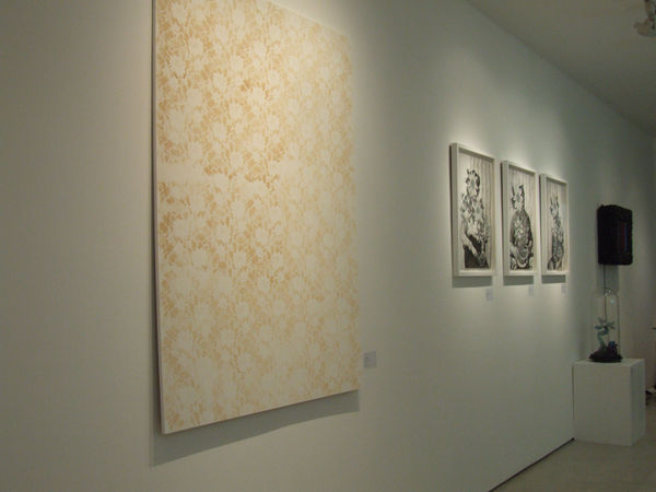 Secret Language of Flowers exhibition hanging in Andipa Gallery