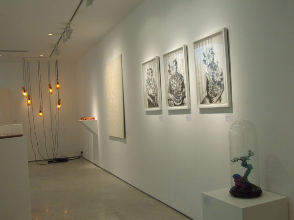 Secret Language of Flowers exhibition hanging in Andipa Gallery