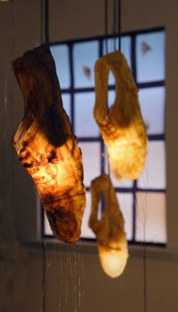 Secret Language of Flowers exhibition hanging in Andipa Gallery